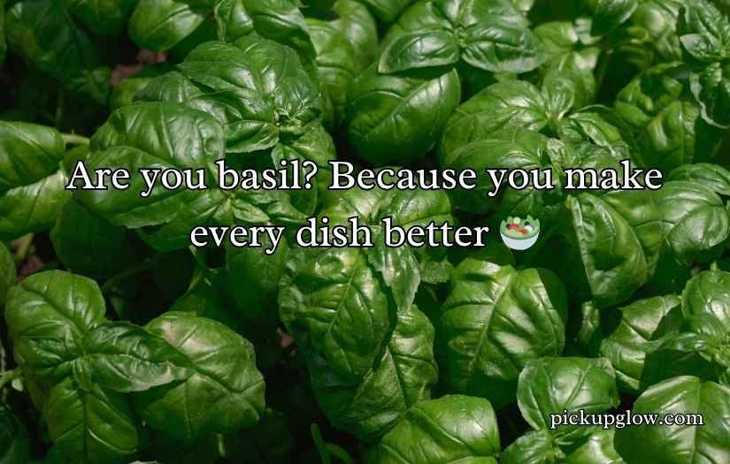 Basil Pick Up Lines