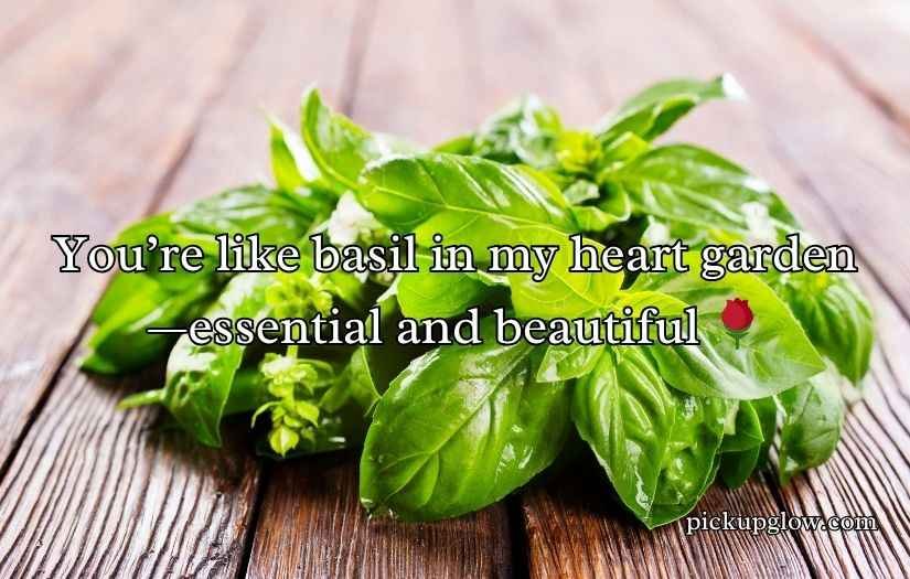 Basil Pick Up Lines