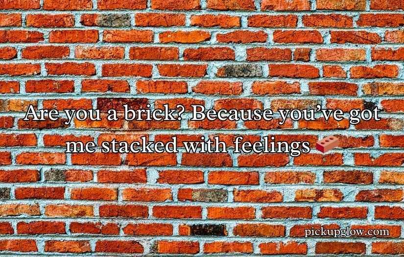 Brick Pick Up Lines