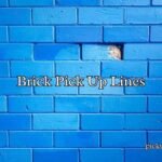 Brick Pick Up Lines Brick Pick Up Lines