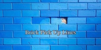 Brick Pick Up Lines Brick Pick Up Lines