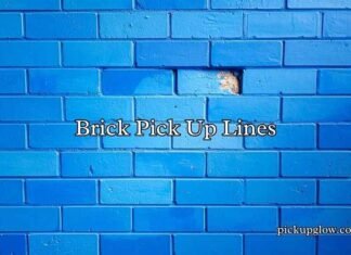 Brick Pick Up Lines Brick Pick Up Lines