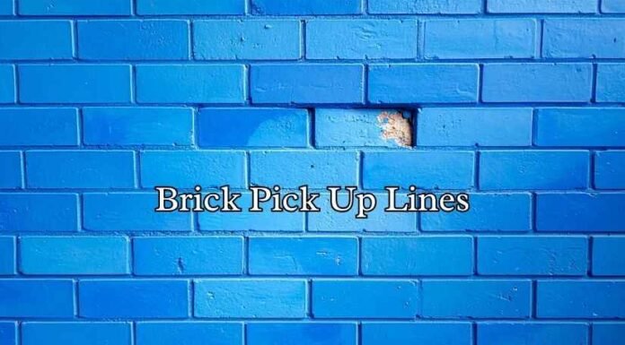 Brick Pick Up Lines Brick Pick Up Lines