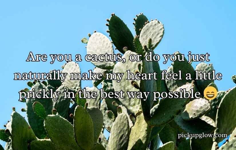 Cactus Pick Up Lines