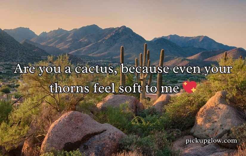 Cactus Pick Up Lines