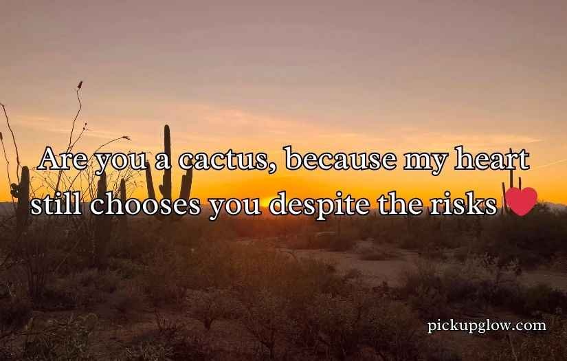 Cactus Pick Up Lines