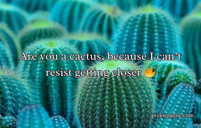 Cactus Pick Up Lines