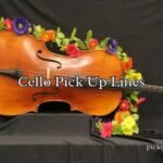 Cello Pick Up Lines Cello Pick Up Lines