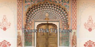 Doors Pick Up Lines Doors Pick Up Lines