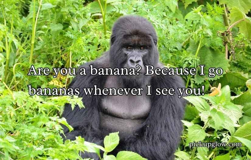 Gorilla Pick Up Lines