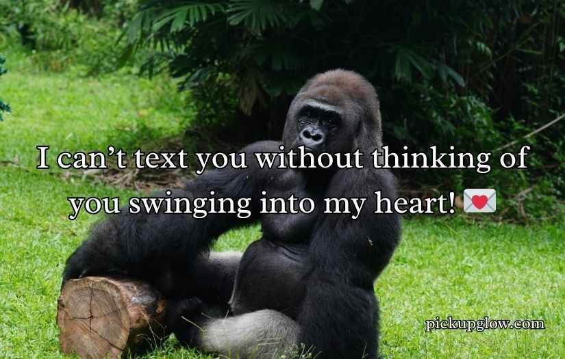 Gorilla Pick Up Lines