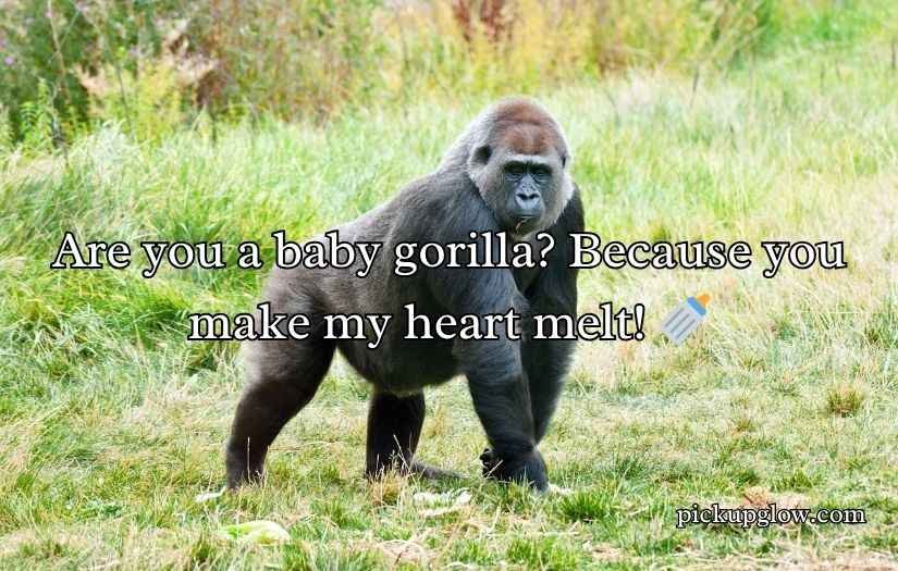 Gorilla Pick Up Lines