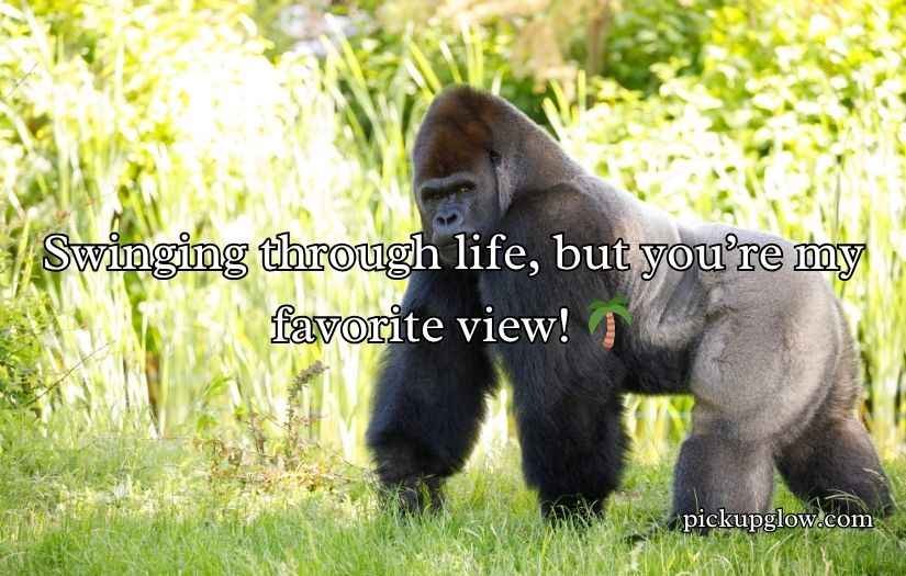 Gorilla Pick Up Lines
