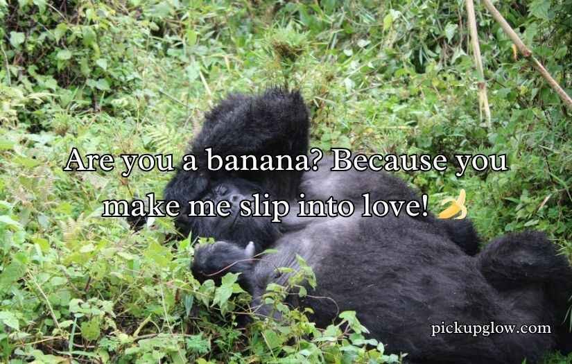 Gorilla Pick Up Lines