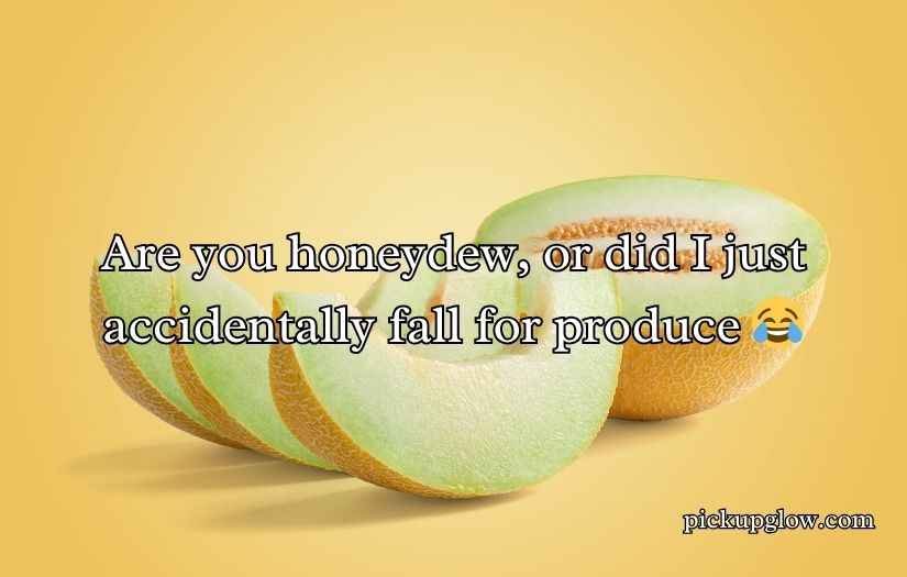 Honeydew Pickup Lines