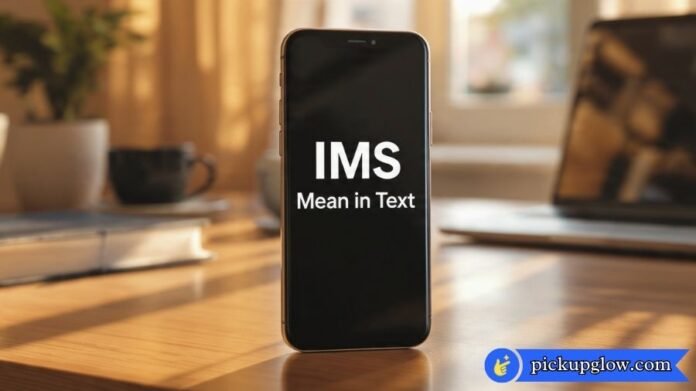 IMS Mean in Text