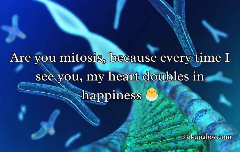 Mitosis Pick Up Lines