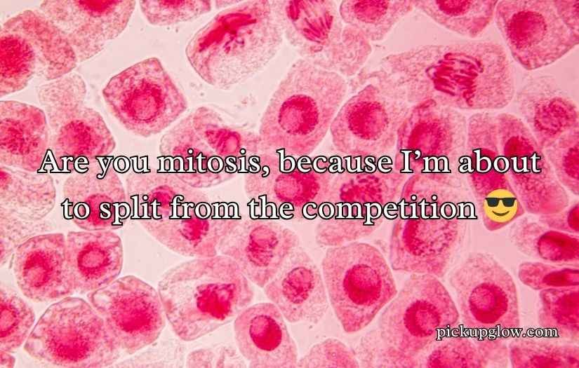 Mitosis Pick Up Lines