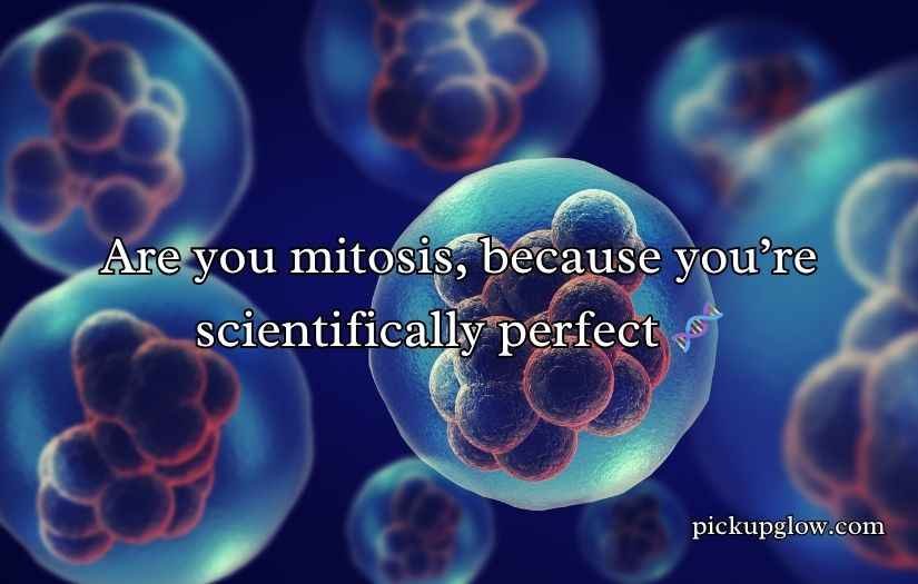 Mitosis Pick Up Lines