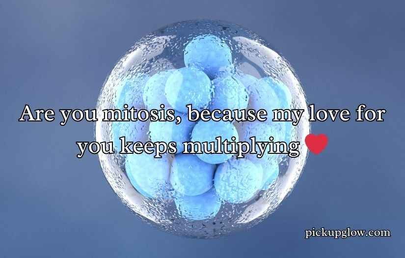 Mitosis Pick Up Lines