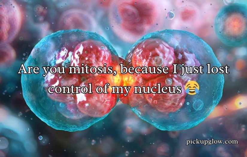 Mitosis Pick Up Lines