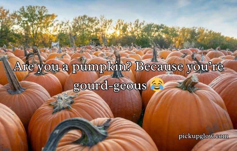 Pumpkin Pick Up Lines