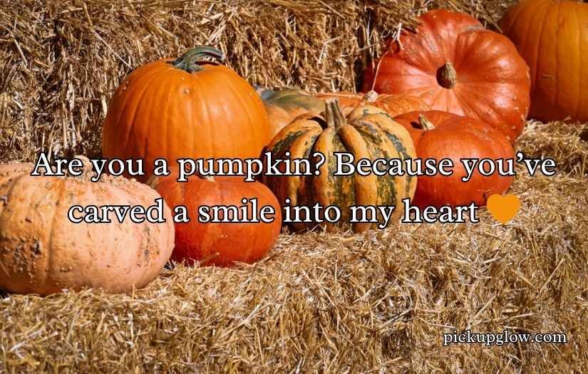 Pumpkin Pick Up Lines