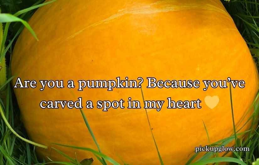 Pumpkin Pick Up Lines