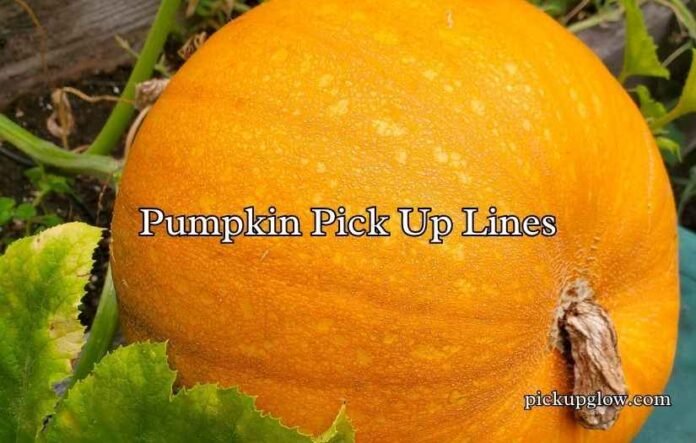 Pumpkin Pick Up Lines