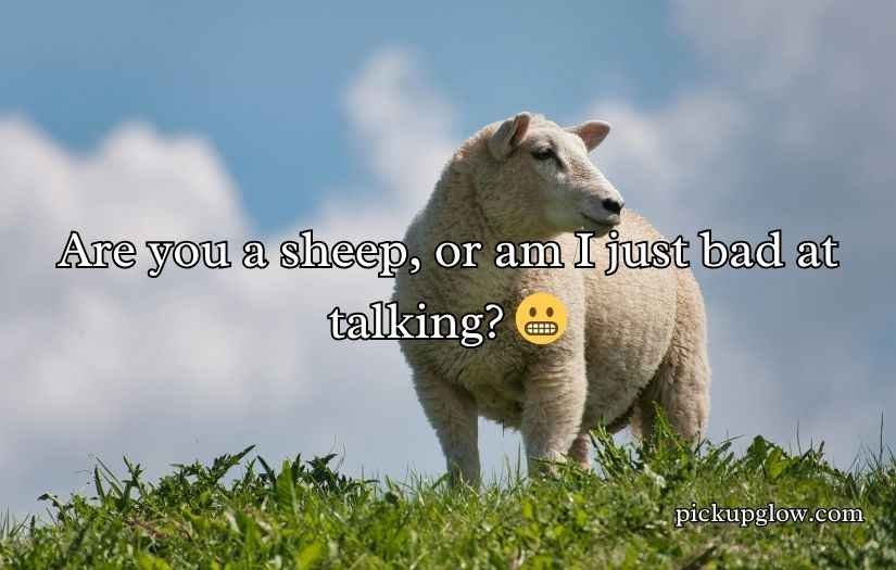 Sheep Pickup Lines