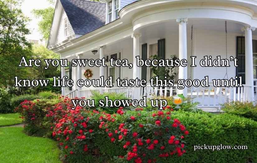 Southern Pick Up Lines