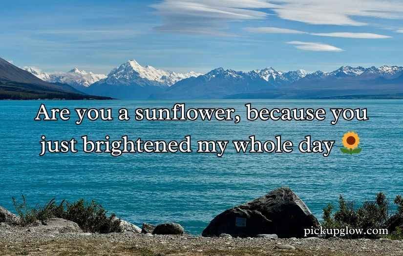 Southern Pick Up Lines