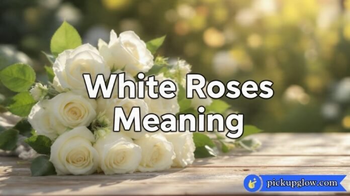 White Roses Meaning