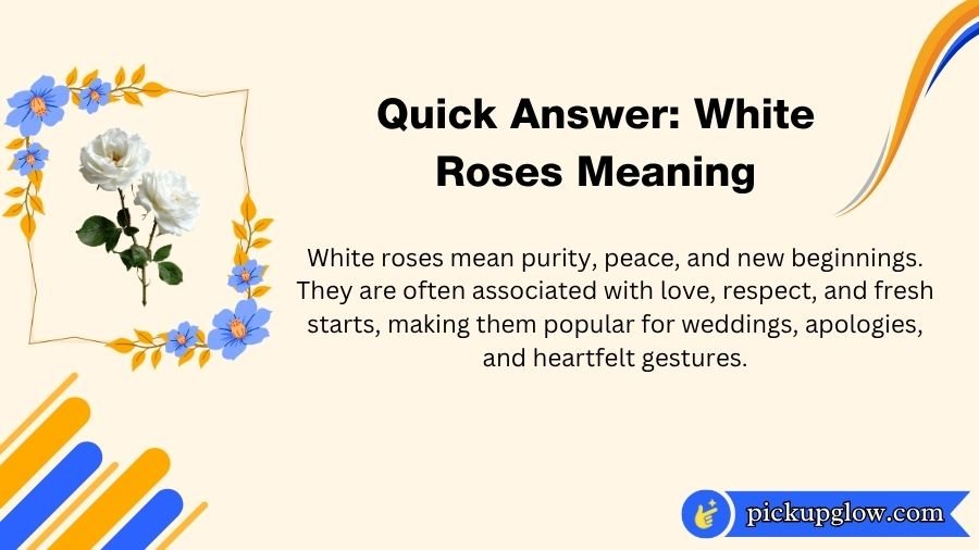 White Roses Meaning