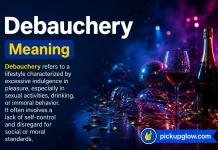 Debauchery Meaning Debauchery Meaning