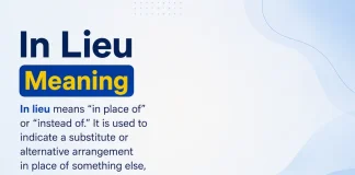In Lieu of Meaning In Lieu of Meaning