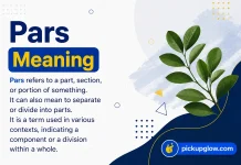Pars Meaning Pars Meaning
