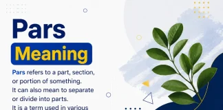 Pars Meaning Pars Meaning