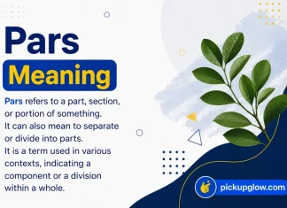 Pars Meaning Pars Meaning