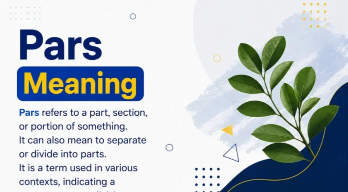 Pars Meaning Pars Meaning