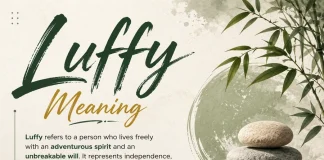 Luffy Meaning luffy Meaning